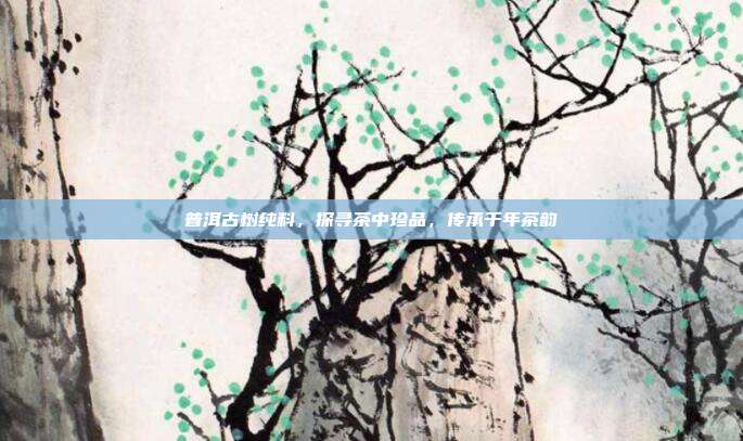 普洱古树纯料，探寻茶中珍品，传承千年茶韵
