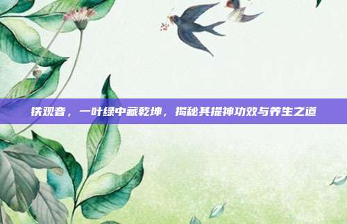 铁观音，一叶绿中藏乾坤，揭秘其提神功效与养生之道