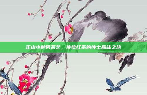 正山小种男茶艺，传统红茶的绅士品味之旅