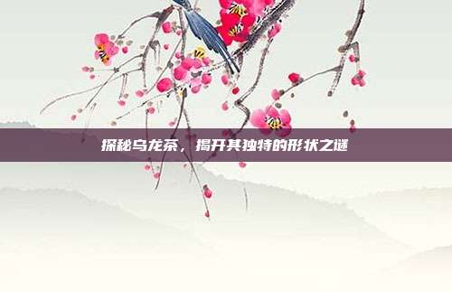 探秘乌龙茶，揭开其独特的形状之谜