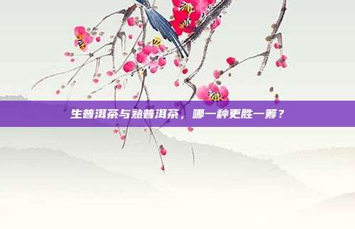生普洱茶与熟普洱茶，哪一种更胜一筹？