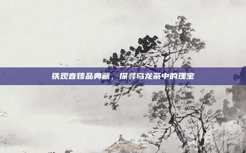 铁观音臻品典藏，探寻乌龙茶中的瑰宝