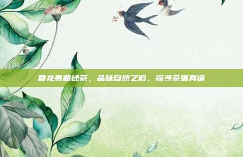 回龙春曲绿茶，品味自然之韵，探寻茶道真谛