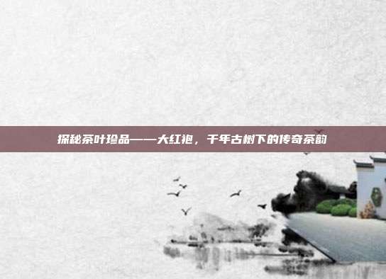 探秘茶叶珍品——大红袍，千年古树下的传奇茶韵