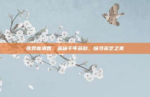 铁观音清香，品味千年茶韵，探寻茶艺之美