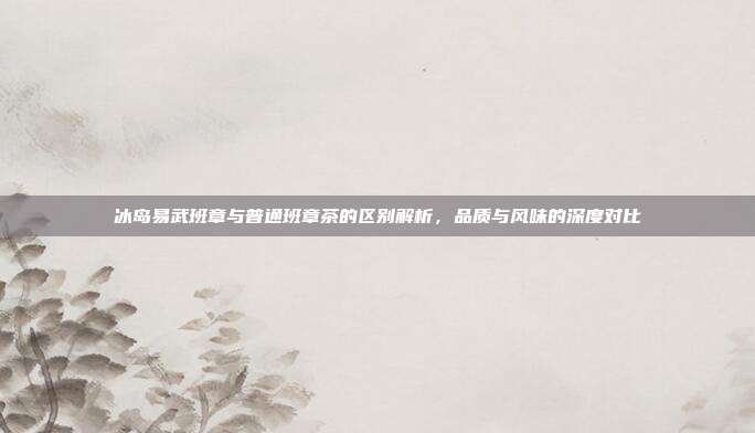 冰岛易武班章与普通班章茶的区别解析，品质与风味的深度对比