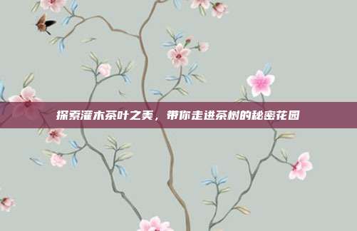 探索灌木茶叶之美，带你走进茶树的秘密花园