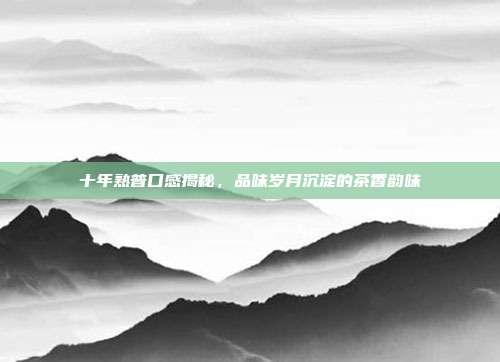 十年熟普口感揭秘，品味岁月沉淀的茶香韵味