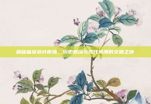 探秘临安茶叶市场，历史底蕴与现代风潮的交融之地