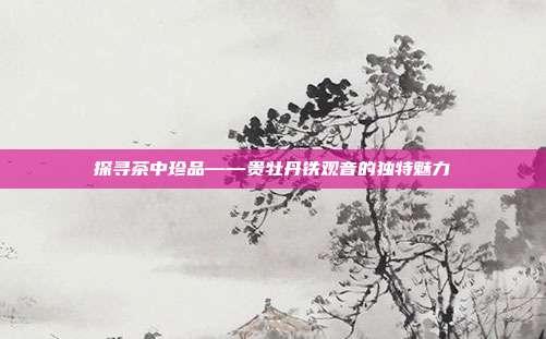 探寻茶中珍品——贵牡丹铁观音的独特魅力