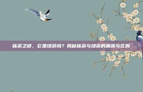 抹茶之谜，它是绿茶吗？揭秘抹茶与绿茶的渊源与区别