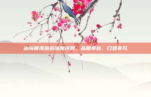 冰岛普洱熟茶深度评测，品质卓越，口感非凡
