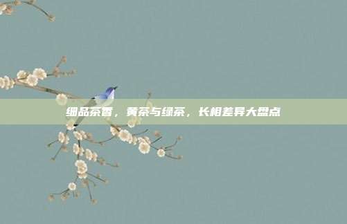 细品茶香，黄茶与绿茶，长相差异大盘点