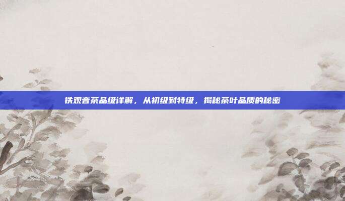 铁观音茶品级详解，从初级到特级，揭秘茶叶品质的秘密