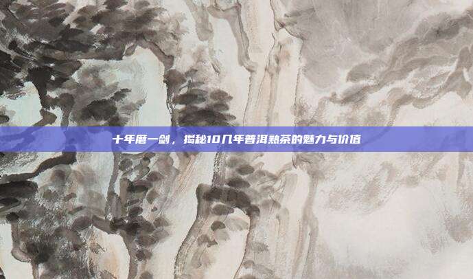 十年磨一剑，揭秘10几年普洱熟茶的魅力与价值