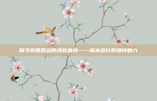 探寻茶香四溢的绿意盎然——属木茶叶的独特魅力