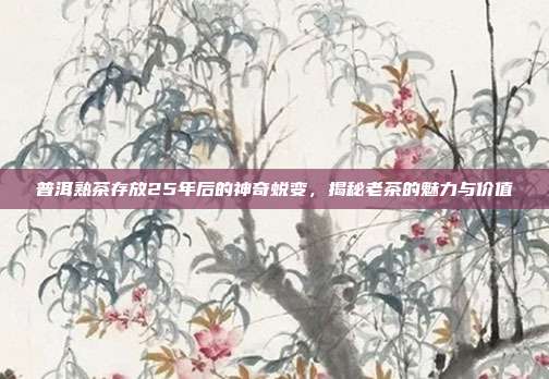 普洱熟茶存放25年后的神奇蜕变，揭秘老茶的魅力与价值