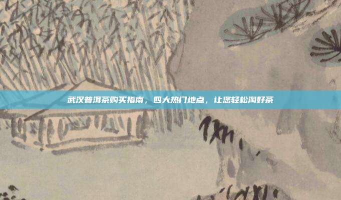 武汉普洱茶购买指南，四大热门地点，让您轻松淘好茶