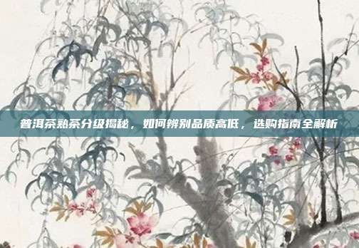 普洱茶熟茶分级揭秘，如何辨别品质高低，选购指南全解析