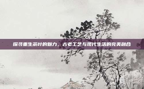 探寻重生茶叶的魅力，古老工艺与现代生活的完美融合