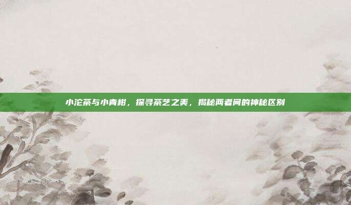 小沱茶与小青柑，探寻茶艺之美，揭秘两者间的神秘区别