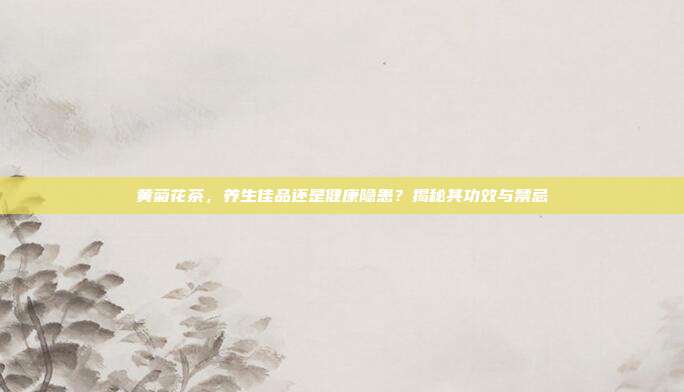黄菊花茶，养生佳品还是健康隐患？揭秘其功效与禁忌