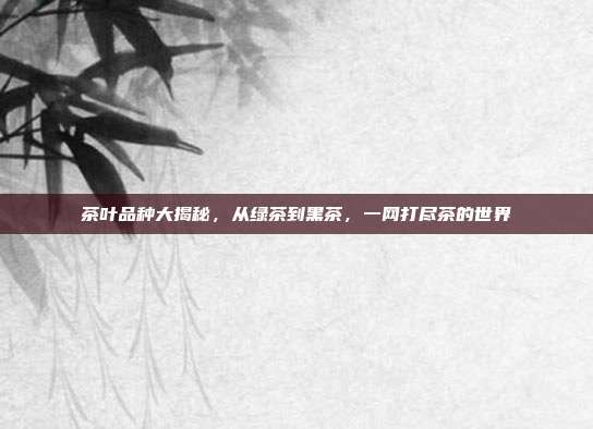 茶叶品种大揭秘，从绿茶到黑茶，一网打尽茶的世界