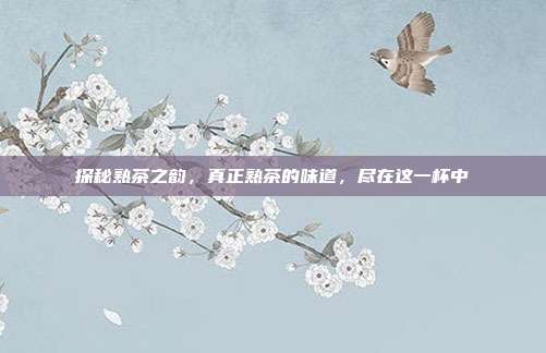 探秘熟茶之韵，真正熟茶的味道，尽在这一杯中