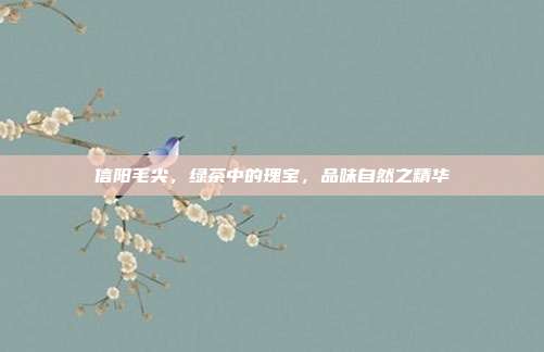 信阳毛尖，绿茶中的瑰宝，品味自然之精华