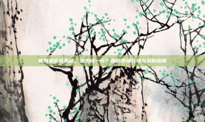普洱茶价格揭秘，多少钱一斤？揭秘市场行情与选购指南