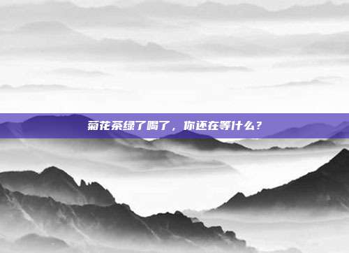 菊花茶绿了喝了，你还在等什么？