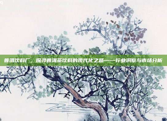 普洱饮料厂，探寻普洱茶饮料的现代化之路——行业洞察与市场分析