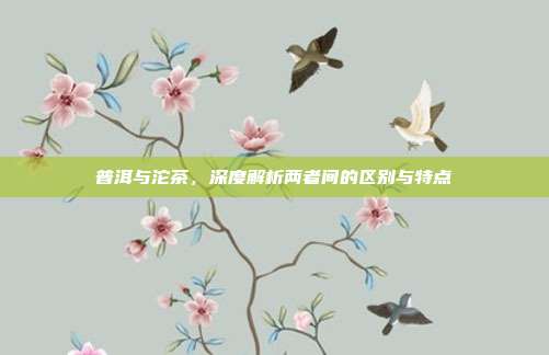 普洱与沱茶，深度解析两者间的区别与特点