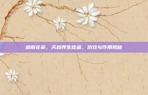 越南花茶，天然养生佳品，功效与作用揭秘