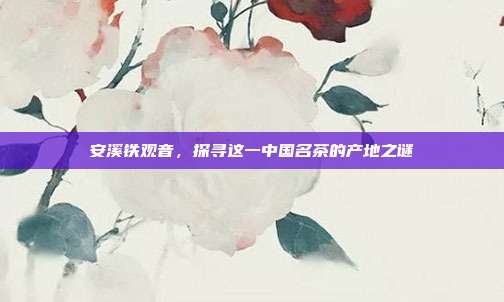 安溪铁观音，探寻这一中国名茶的产地之谜
