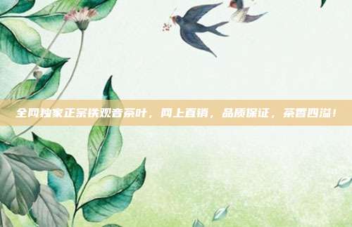 全网独家正宗铁观音茶叶，网上直销，品质保证，茶香四溢！