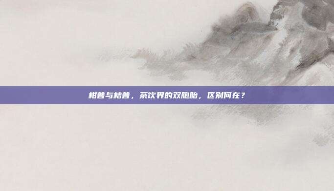 柑普与桔普，茶饮界的双胞胎，区别何在？