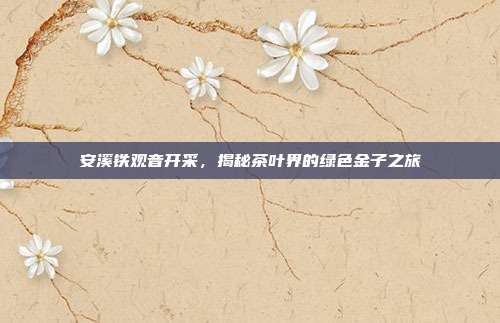 安溪铁观音开采，揭秘茶叶界的绿色金子之旅