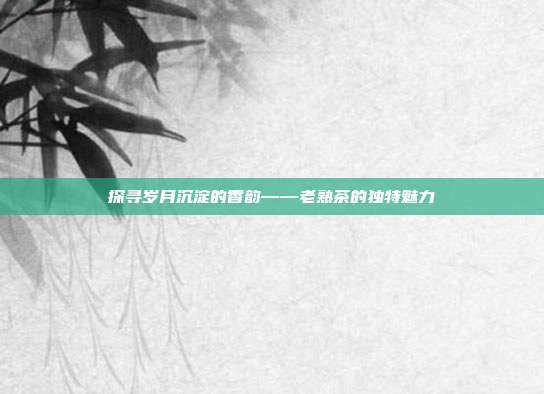 探寻岁月沉淀的香韵——老熟茶的独特魅力