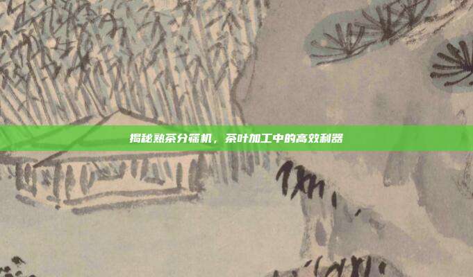 揭秘熟茶分筛机，茶叶加工中的高效利器