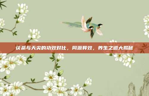 茯茶与天尖的功效对比，同源异效，养生之道大揭秘