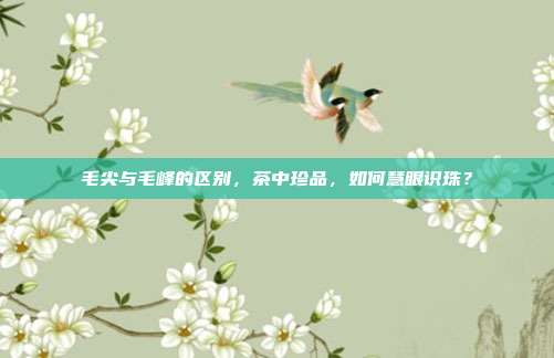 毛尖与毛峰的区别，茶中珍品，如何慧眼识珠？