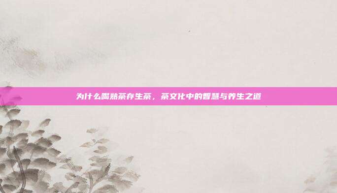 为什么喝熟茶存生茶，茶文化中的智慧与养生之道