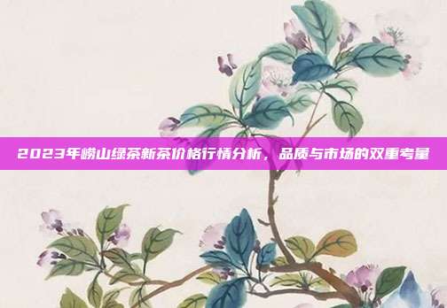2023年崂山绿茶新茶价格行情分析，品质与市场的双重考量