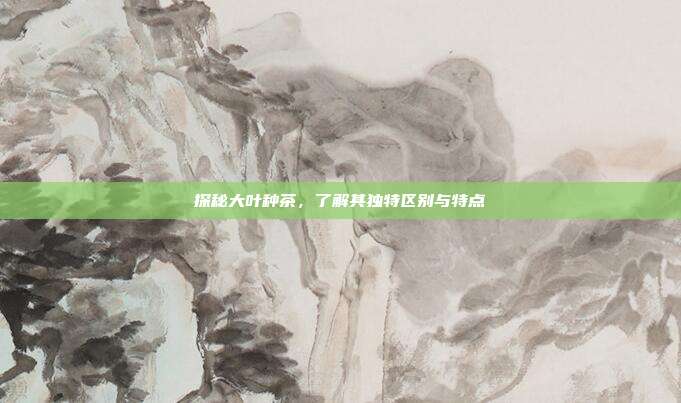探秘大叶种茶，了解其独特区别与特点