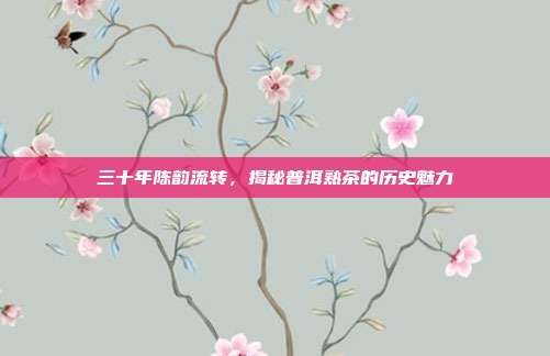三十年陈韵流转，揭秘普洱熟茶的历史魅力