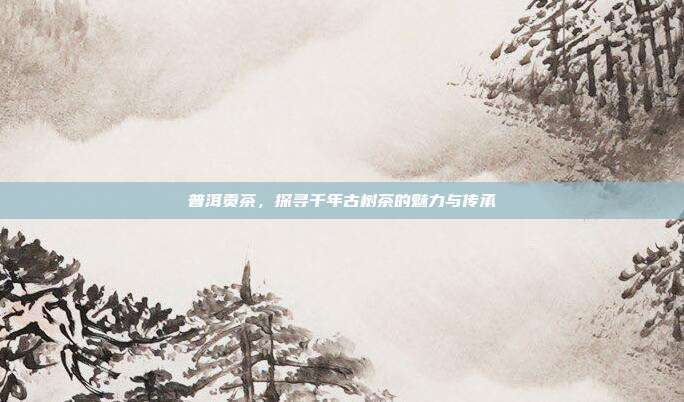 普洱贡茶，探寻千年古树茶的魅力与传承