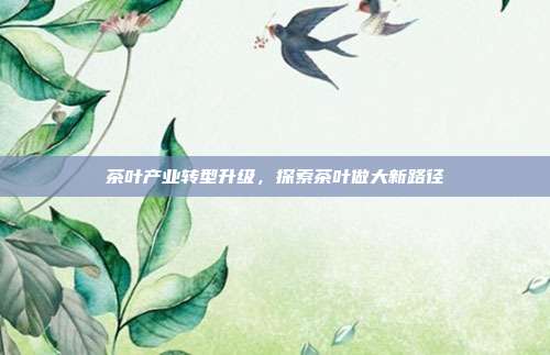 茶叶产业转型升级，探索茶叶做大新路径