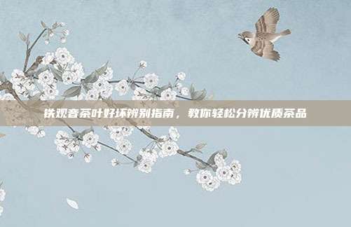 铁观音茶叶好坏辨别指南，教你轻松分辨优质茶品