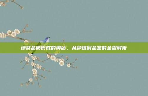 绿茶品质形成的奥秘，从种植到品鉴的全程解析